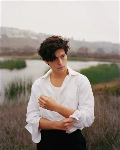 Qui est cet acteur et qui joue-t-il ?