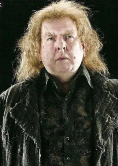 Dans quelle maison Peter Pettigrow est-il envoyé ?