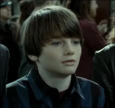 Dans quelle maison Albus Potter est-il envoyé ?