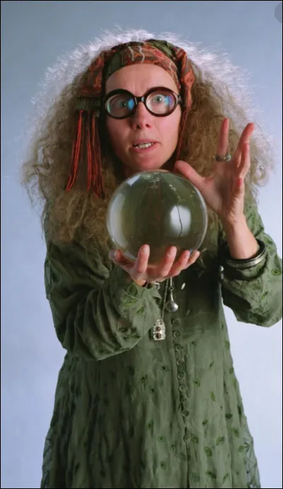 Dans quelle maison Sibylle Trelawney est-elle envoyée ?