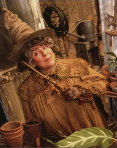 Dans quelle maison Pomona Chourave est-elle envoyée ?