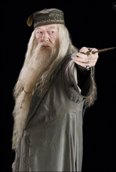 Dans quelle maison Albus Dumbledore est-il envoyé ?