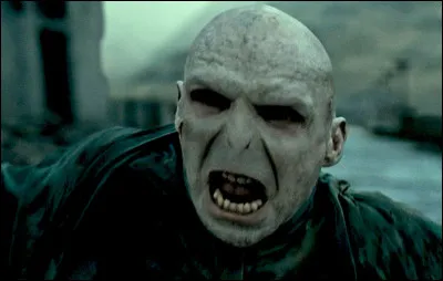 Dans quelle maison Lord Voldemort est-il envoyé ?