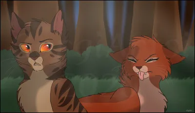 Pourquoi Poil d'Écureuil était-elle fâchée contre Griffe de Ronce ?