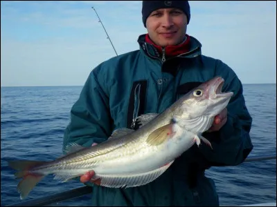 Il y a une pierre qui est le symbole de l'équilibre du yin et du yang. Laquelle est-ce ?