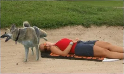 Quel est l'indice maximum d'une crème solaire ?