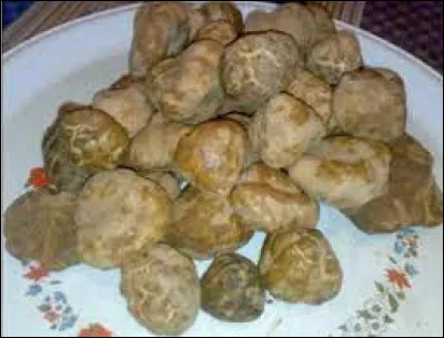 En Algérie, qu'est-ce que le terfez, ou terfass ?