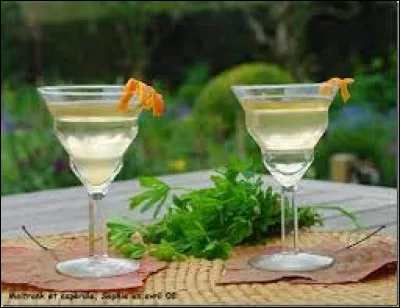 Qu'est-ce que le Maitrank ?