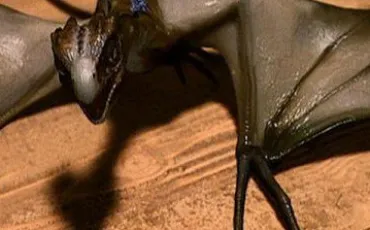 Quiz Animaux