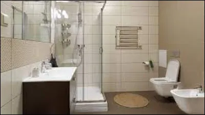 Le WC est-il un &eacute;l&eacute;ment indispensable dans une salle de bain ?