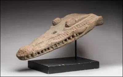 Les proues de pirogue en forme de t&ecirc;te de crocodile sont typiques