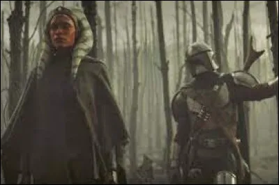 Quel personnage cherche Ahsoka Tano, dans l'épisode 8 de la saison 2 de "The Mandalorian" ?