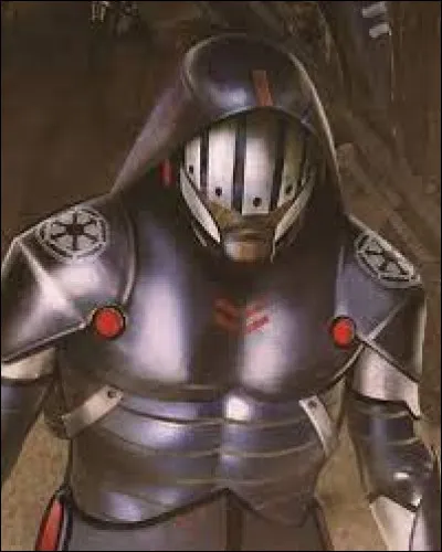 Dans le roman "Ahsoka", quel Inquisiteur combat-elle ?