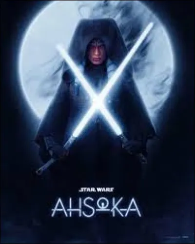 Qui est l'auteur du roman du même nom ?