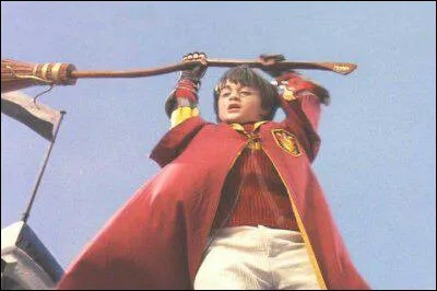 Quel sort Hermione utilise-t-elle pour arrêter le Cognard qui prend Harry pour cible lors d'un match de Quidditch contre Serpentard ?