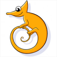 Quiz Site internet