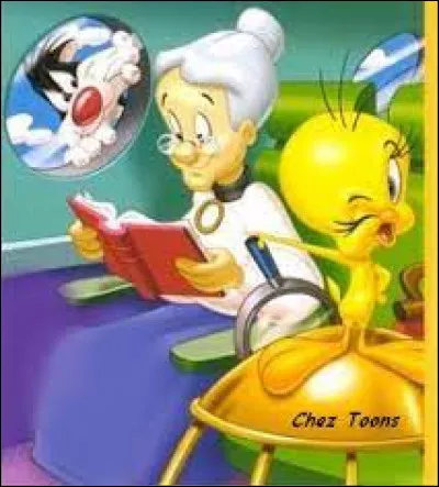 Ti comme Titi : dans l'animé "Titi et Gros-Minet", au début de l'histoire, où Mémé a-t-elle trouvé Titi ?