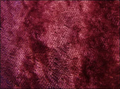 Comment dit-on le pourpre ?