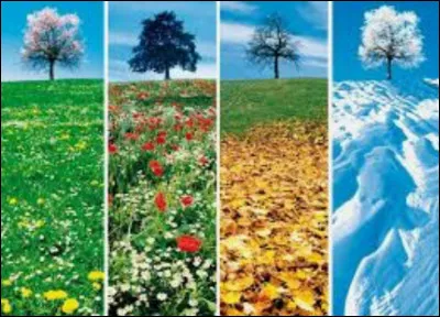 Quelle est ta saison préférée ?