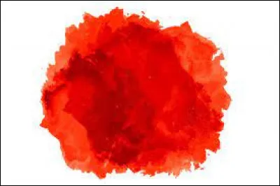 Quel est l'ambassadeur de l'équipe rouge ?