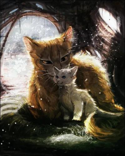 Qui est ce personnage et qui est son chaton ?