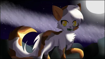 Qui est ce personnage et qui lui succède ?