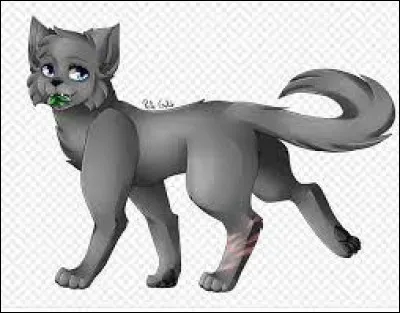 Qui est cette chatte et de qui est-elle amoureuse ?