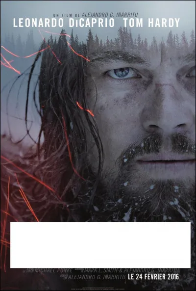 Quel film correspond à cette affiche ?