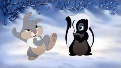 Dans quel conte peut-on voir ces deux animaux ?