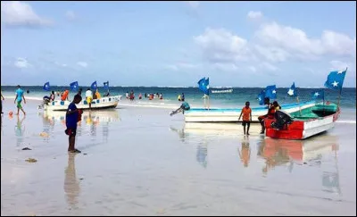 La Somalie (sans Lili) > Pour des sociétés-écrans, un sous-traitant compétent [...lequel ?] enfouit (ou coule) au moins 600 fûts radioactifs : ils ont été hélas ! lâchement subtilisés en 2004 par [...qui donc ?]