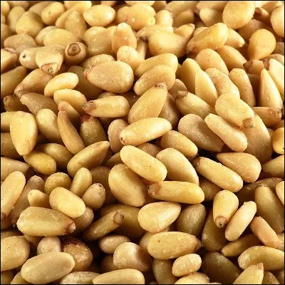 Quel pin, aussi appel&eacute; pin d�Italie, produit une graine souvent utilis&eacute;e en p&acirc;tisserie ?