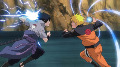 Si tu étais un ninja, quel genre de combat préférerais-tu ?