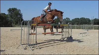 Comment s'appelle cette discipline ?