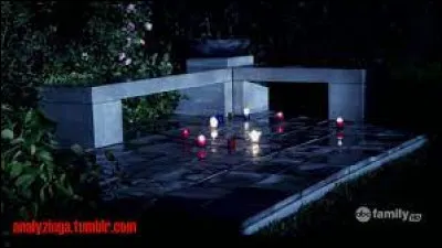 Qui a détruit le mémorial dédié à Alison ?