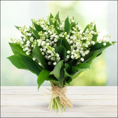 Jusqu'au XIXe siècle, que désignait le terme « muguet » ?