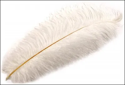 On se quitte avec "Forrest Gump" : où la plume que l'on voit au début tombe-t-elle à la fin ?