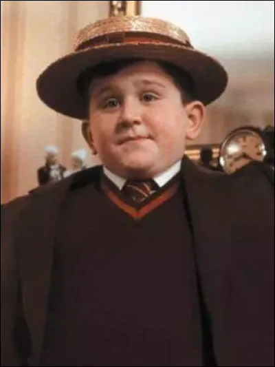 Quand Hagrid se fâche dans la cabane au sommet du rocher, Dursley se retrouve avec...