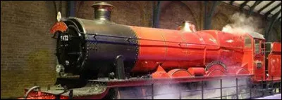 Dans le Poudlard Express, Harry achète...