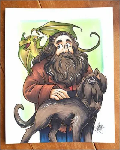 Lequel des animaux de Hagrid est envoyé en Roumanie ?