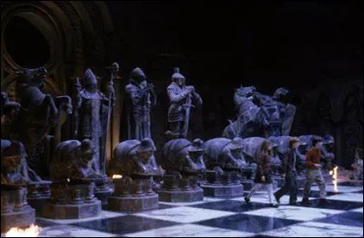 Qui dirige la partie d'échecs géants à laquelle jouent Harry, Ron et Hermione ?