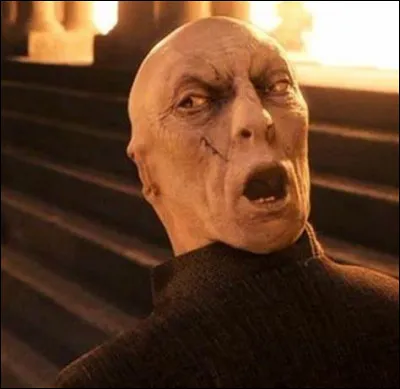 Voldemort dit à Harry qu'il a besoin de la Pierre philosophale pour...