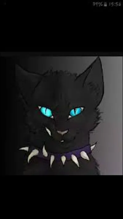 Son nom de chaton est...