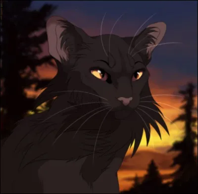 Le personnage principal est :