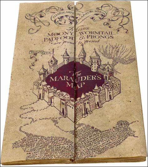 Qui Harry voit-il sur la carte du Maraudeur qui l'incite à sortir du château ?
