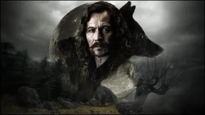 Qui apprend à Harry qu'il est le filleul de Sirius Black ?