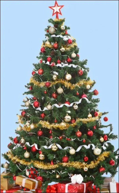 Quel cadeau Harry reçoit-il à Noël ?