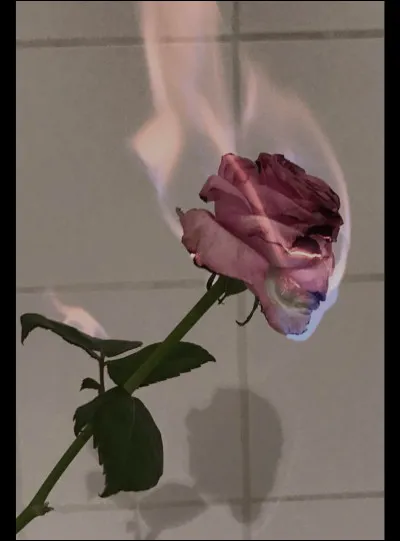 Le rose est une couleur primaire.