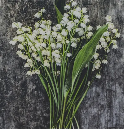 Le 1er mai, on célèbre...