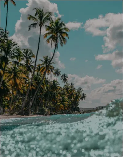 Quelle est la deuxième lettre du mot "plage" ?