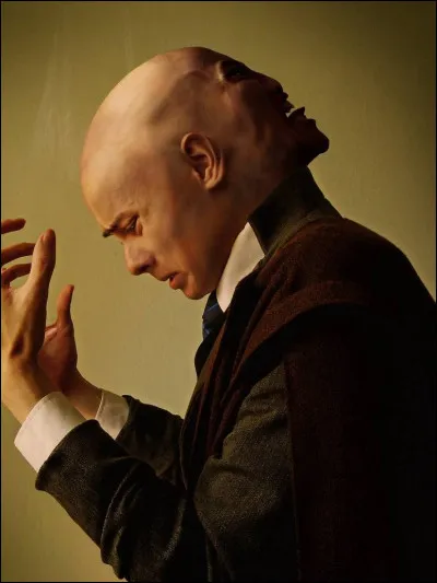 Quel manuel utilise le professeur Quirrell ?
